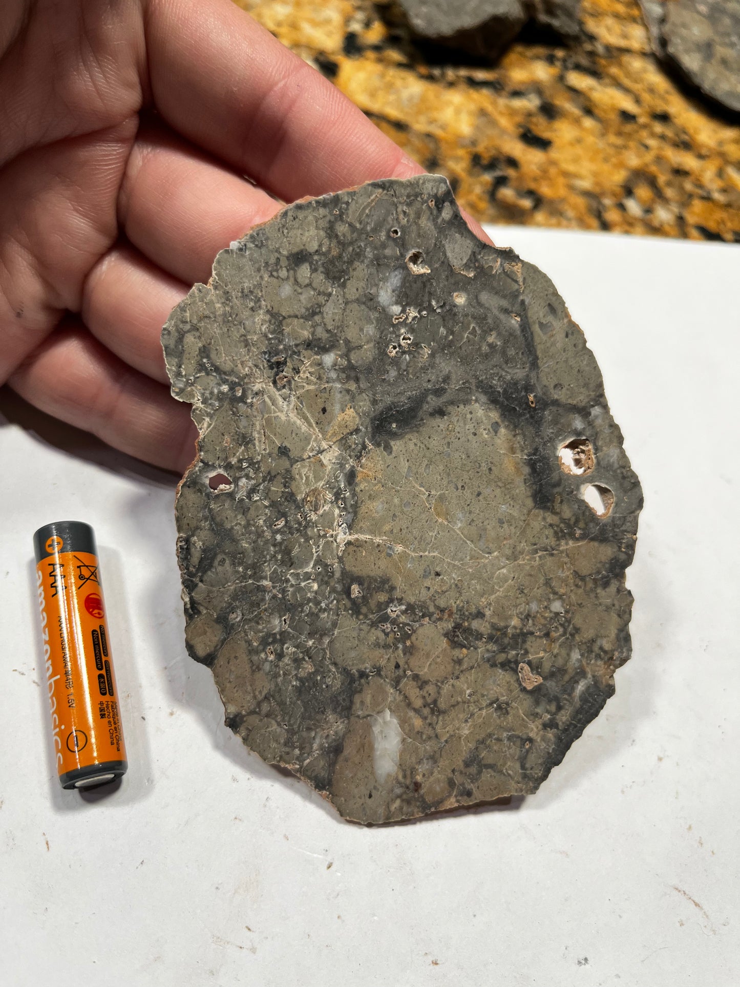 Lunar Troctolite 39.54g Slice