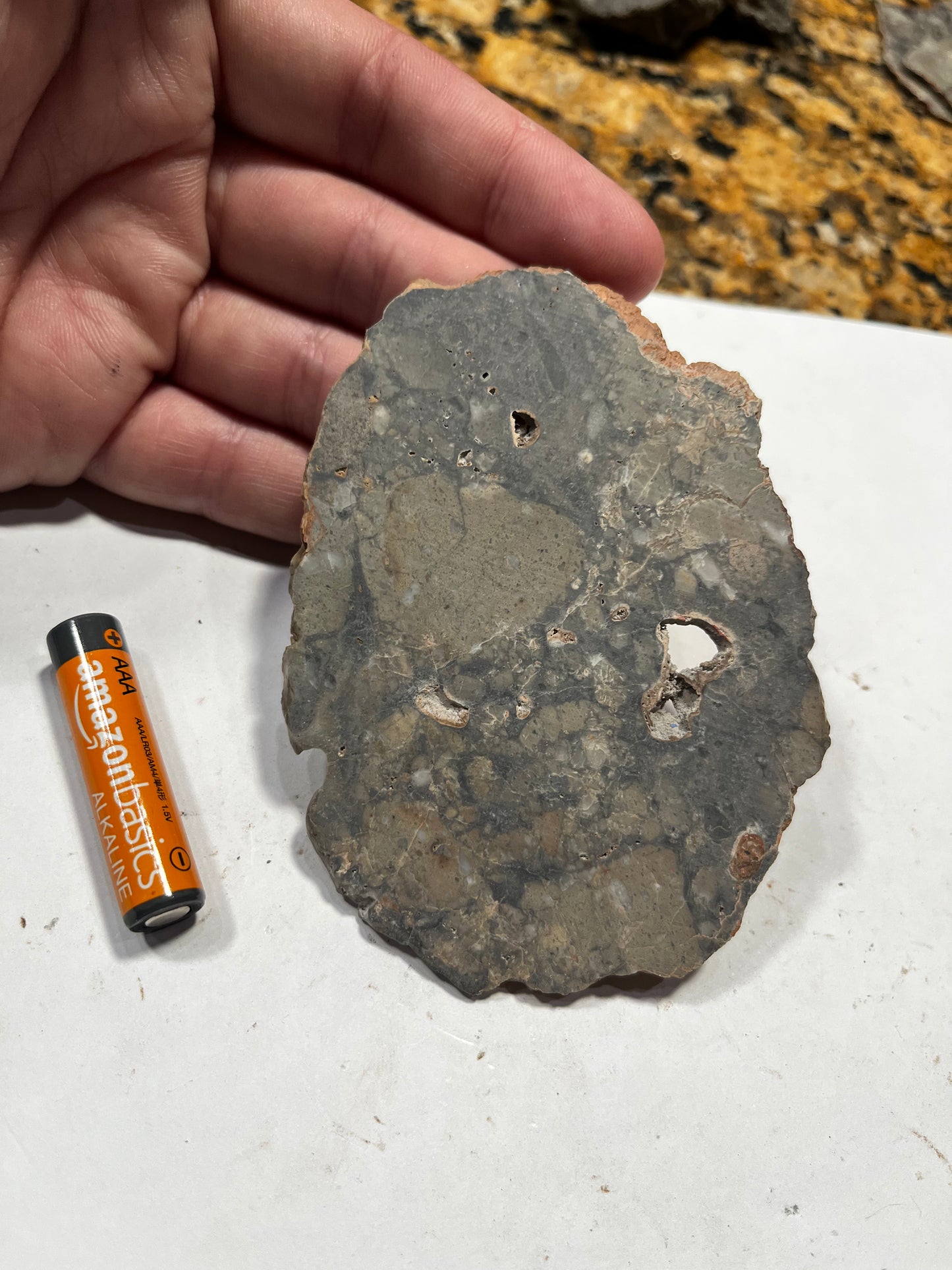 Lunar Troctolite 36.63g Slice