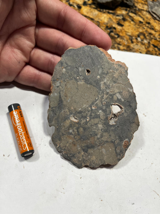 Lunar Troctolite 36.63g Slice