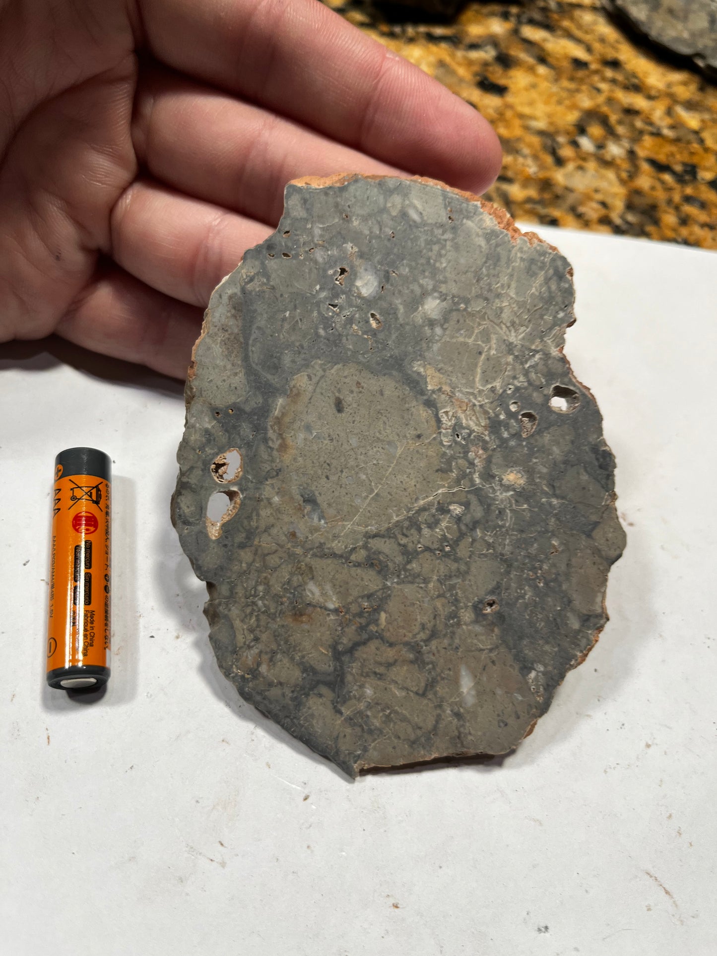 Lunar Troctolite 39.54g Slice