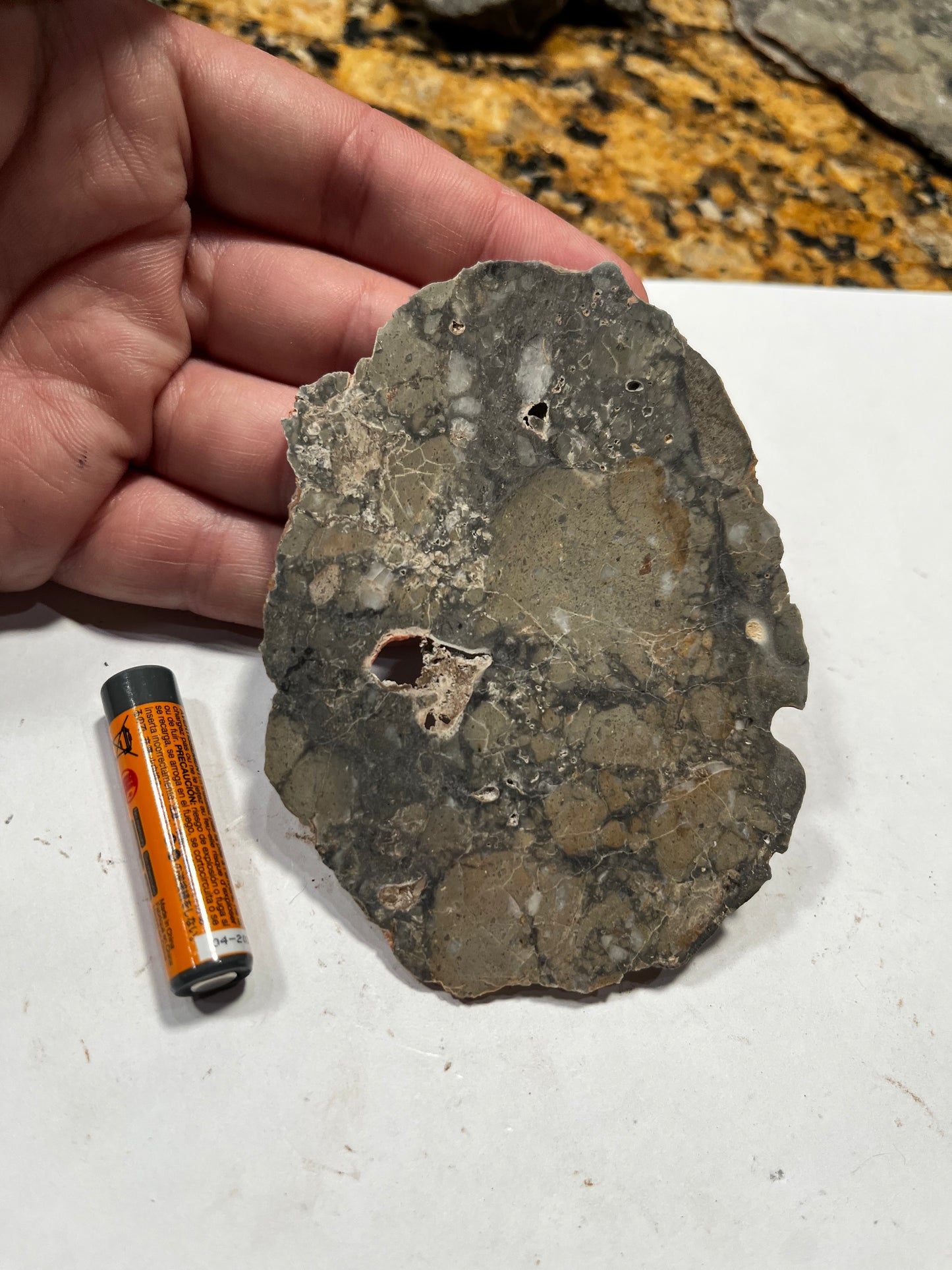 Lunar Troctolite 36.63g Slice