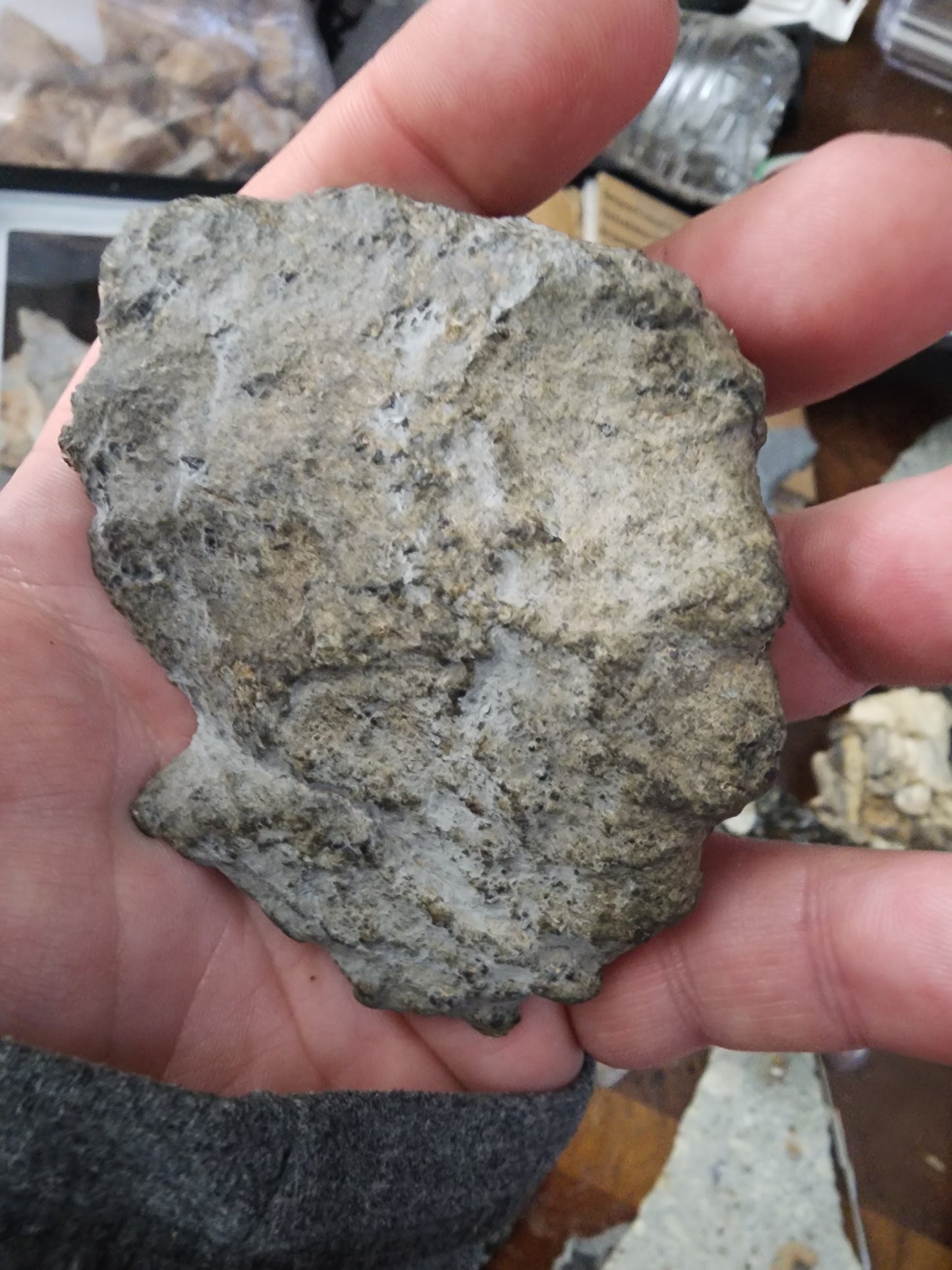 102.25 gram nwa 13187 shergottite end piece