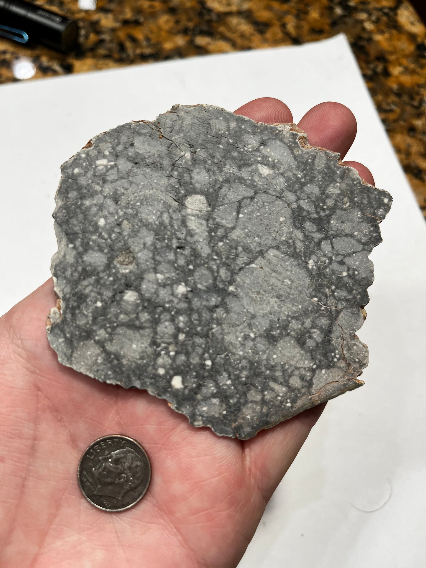 Gadamis 3 39.25g Slice