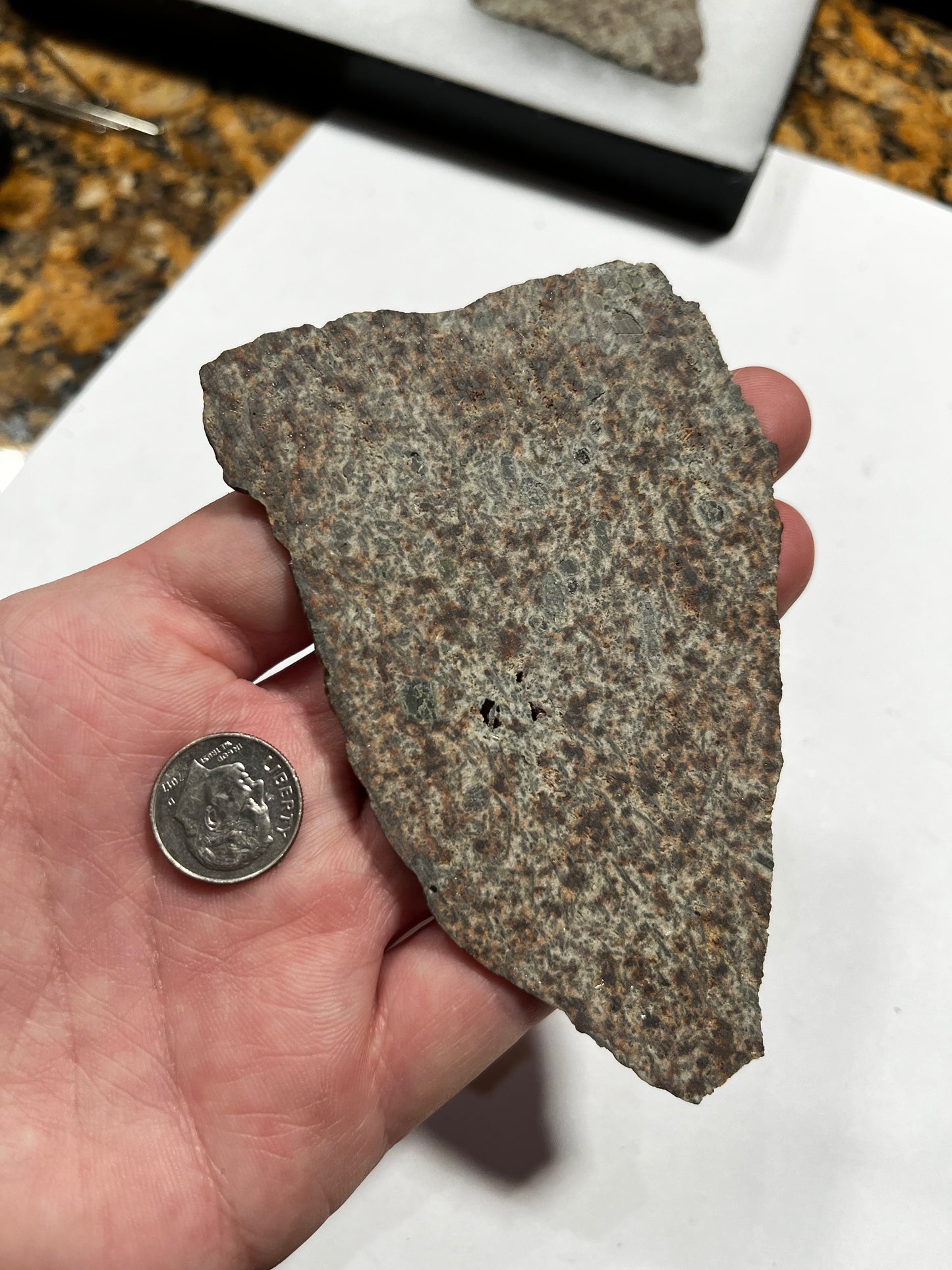 Erg Check 2 18.26g Slice