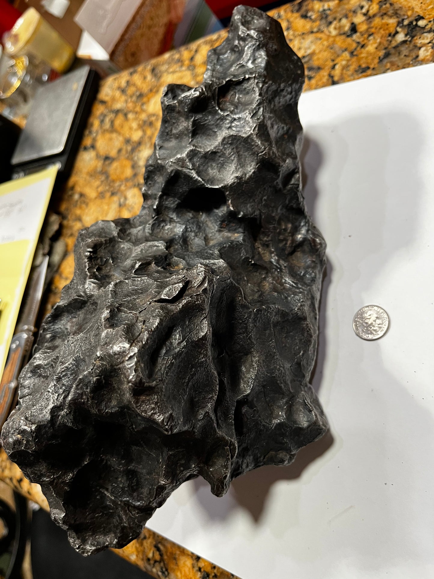 Sikhote Aline 10.5kg