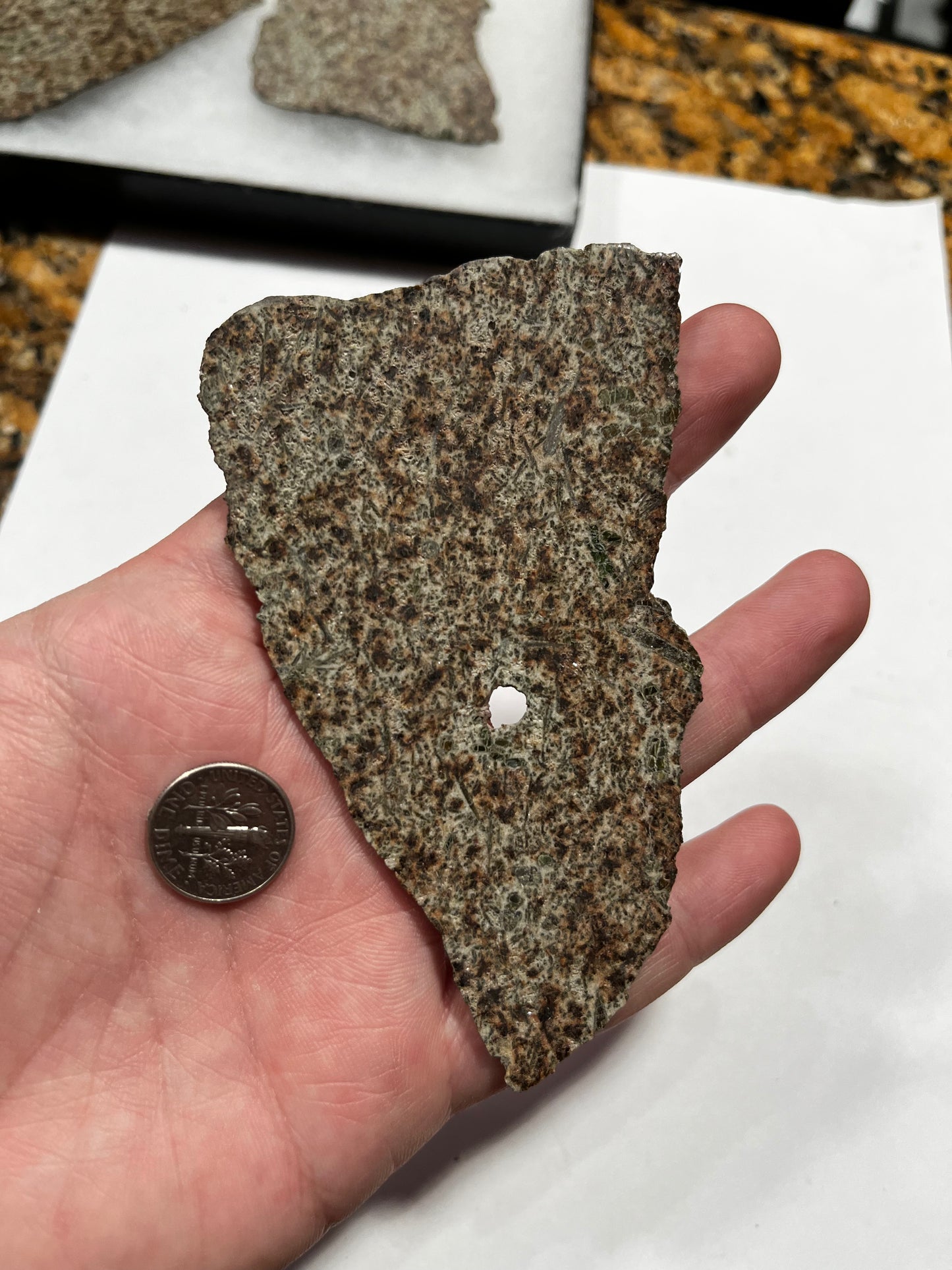 Erg Check 2 15.88g Slice