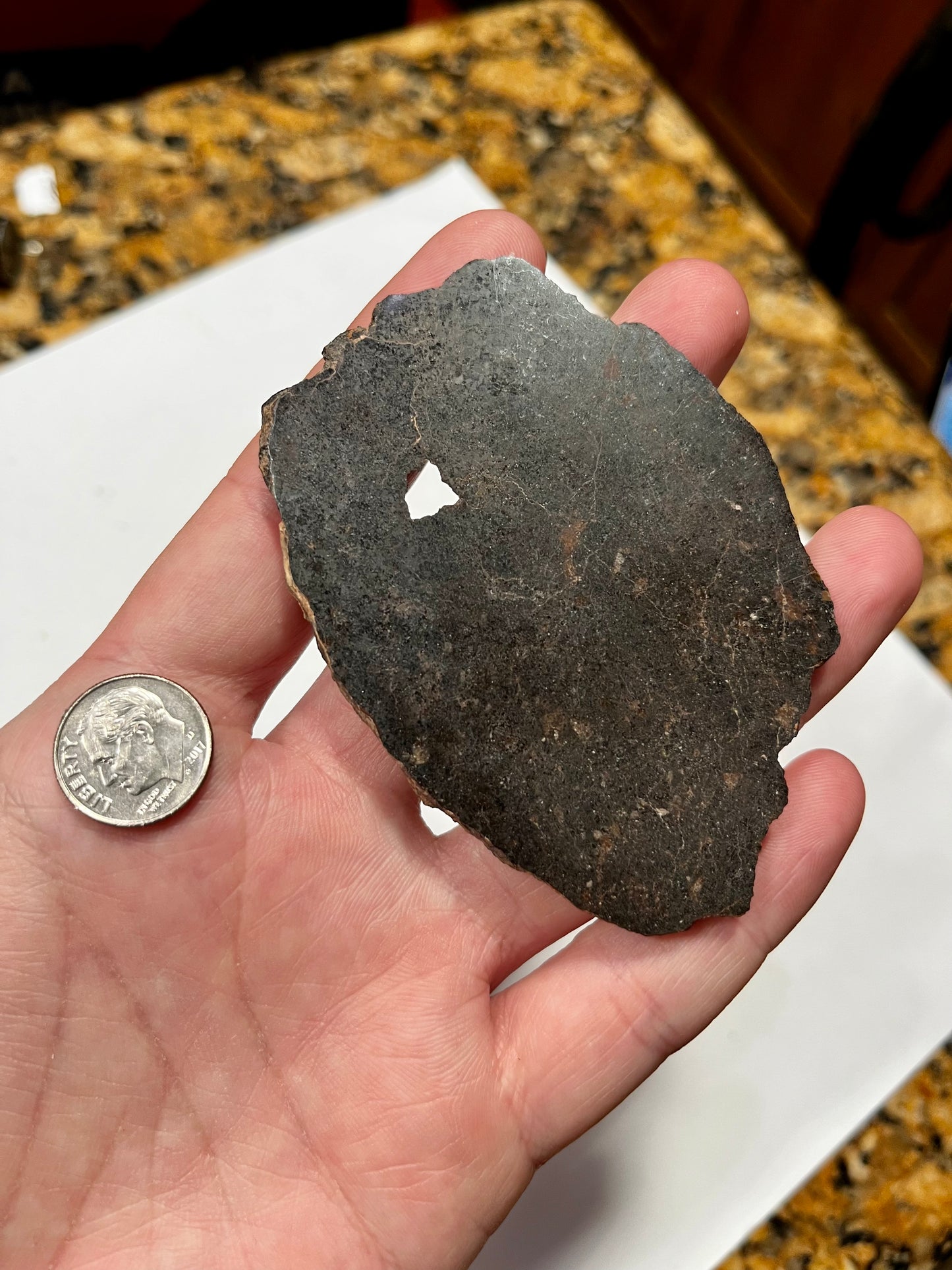 NWA 4931 Angrite 53.00g End