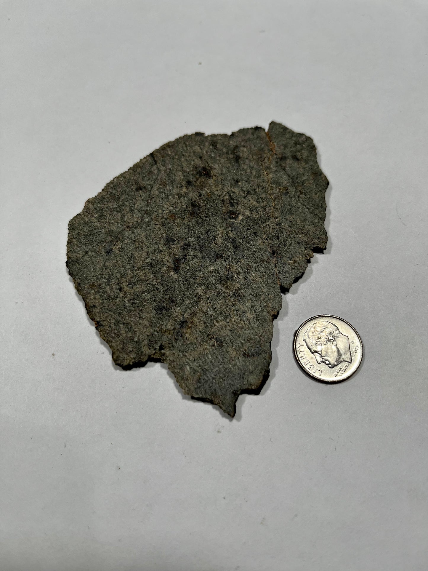 NWA 13187 26.57g Slice