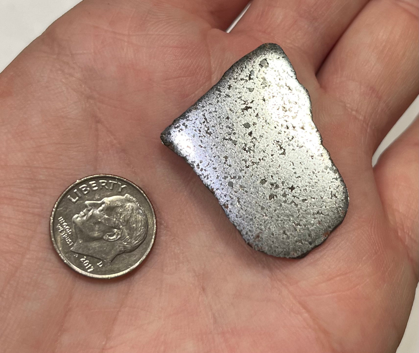 NWA 13202 6.63g Slice