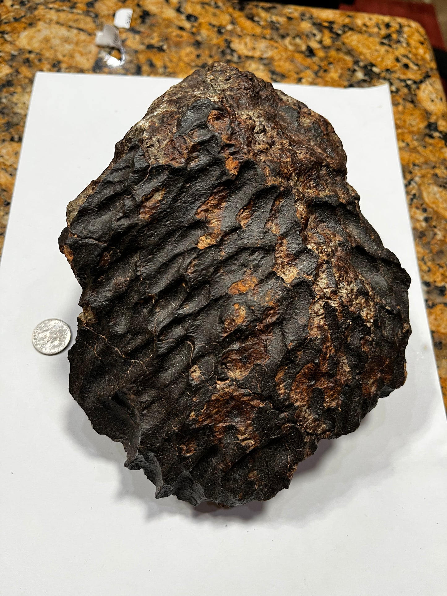 Unclassified Chrondite