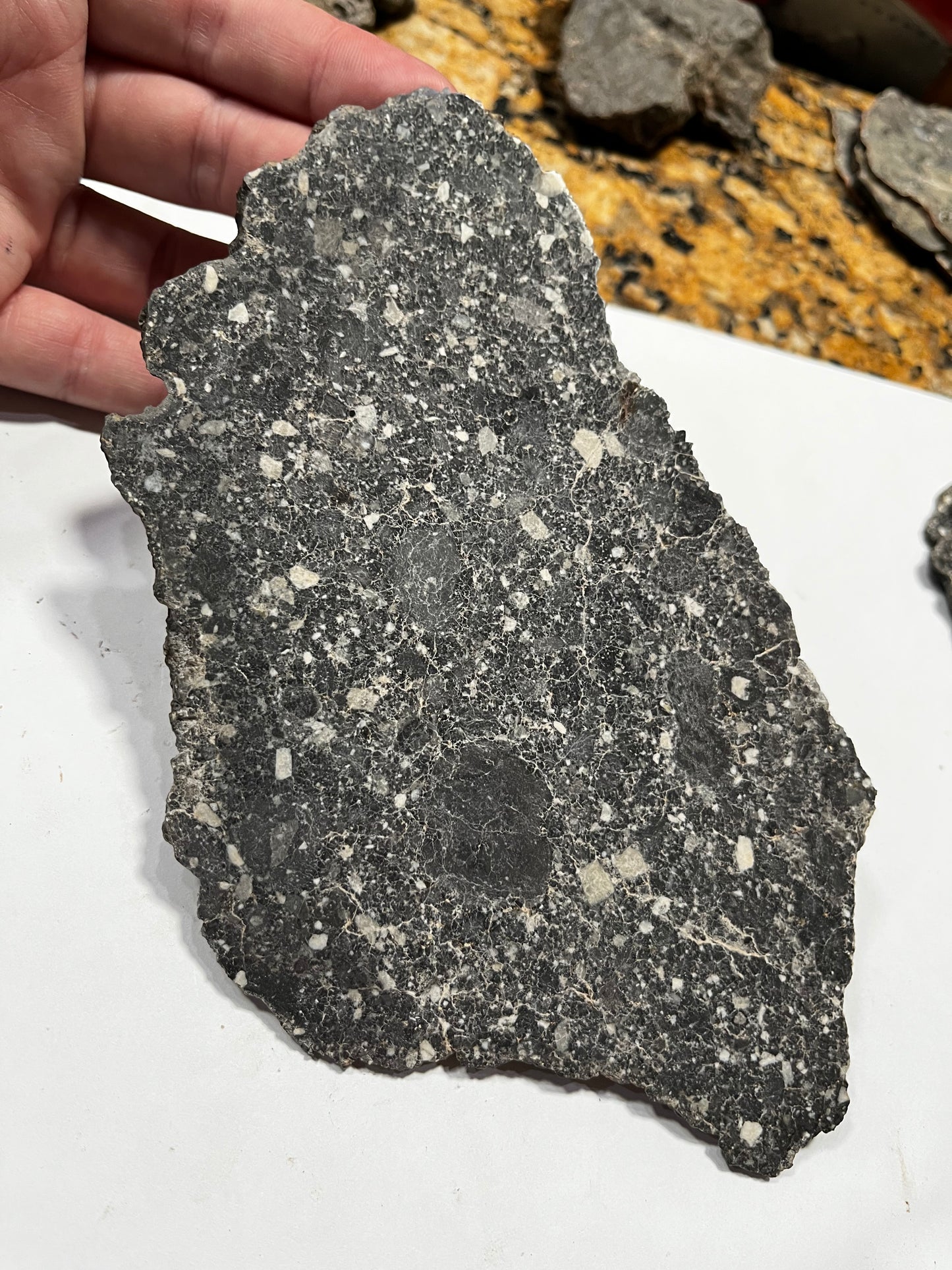 Lunar Breccia 98.23g Slice