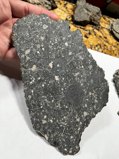 Lunar Breccia 98.23g Slice