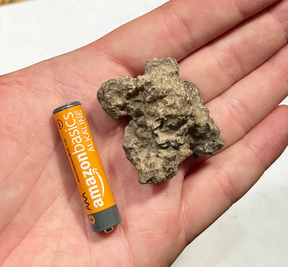 Martian Shergottite 44.66g