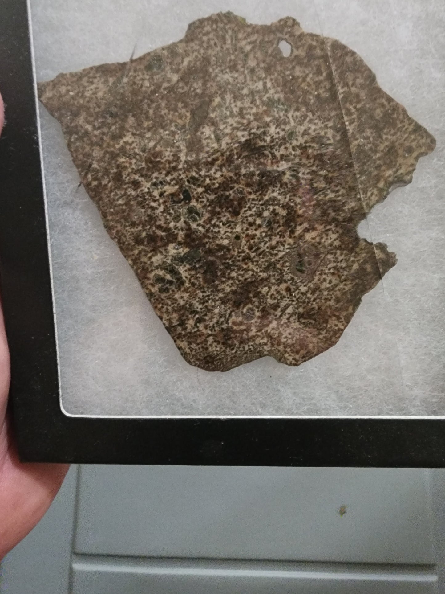 29.1 gram erg chech 002 slice