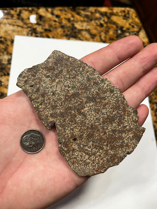 Erg Check 2 28.00g Slice