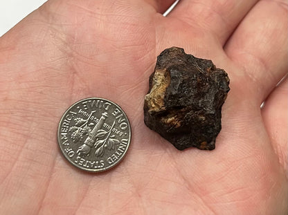 Grapevine Mesa 13.30g End